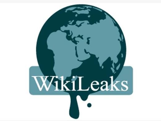 Click to enlarge Wikileaks logo