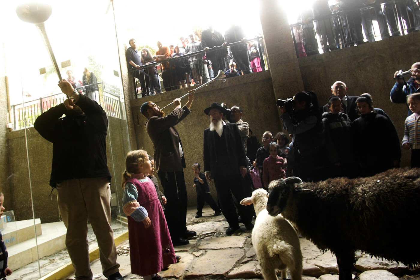 Click to enlarge zionists temple mount ritual