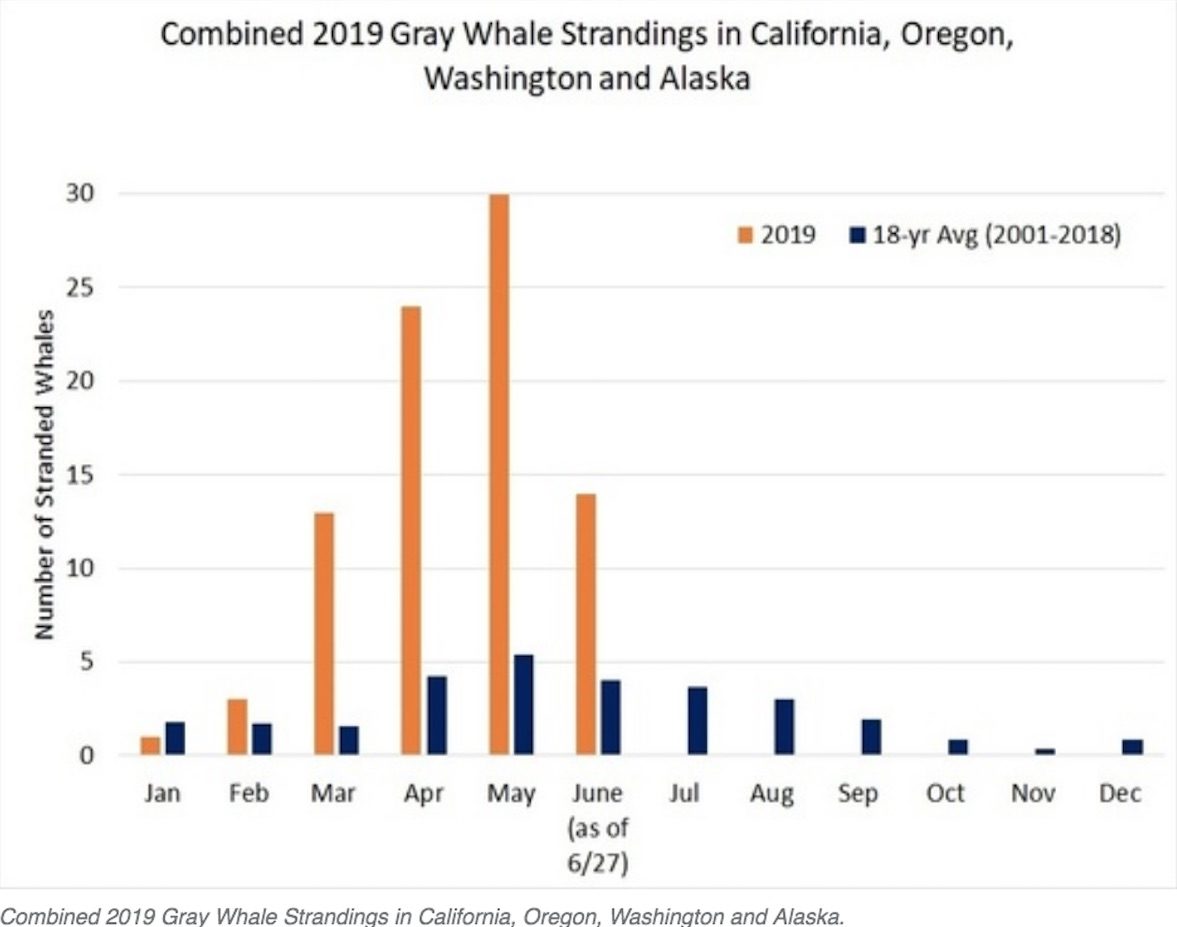 Click to enlarge GRAPH