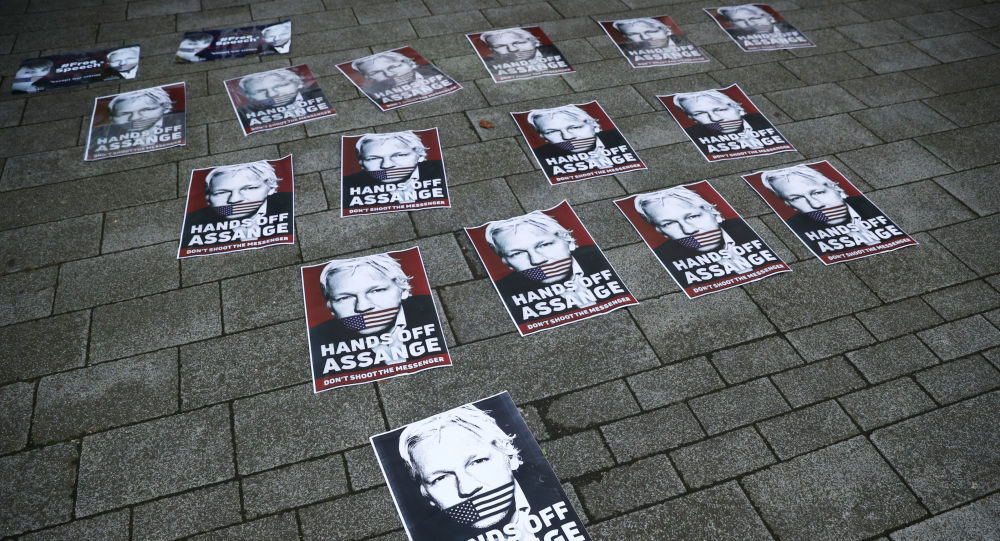 Click to enlarge assange protest signs