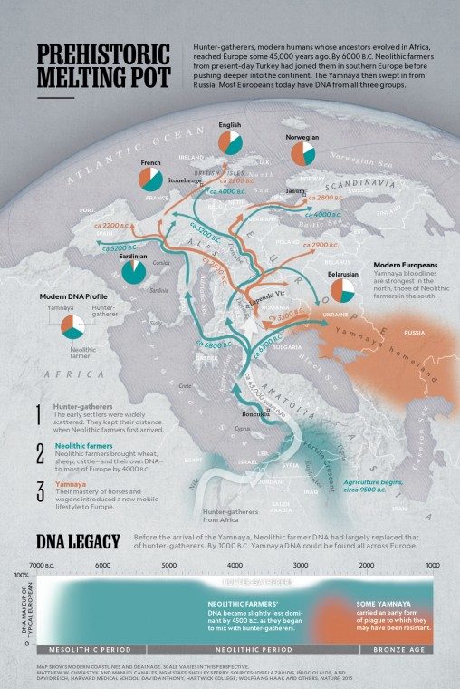 Click to enlarge yamnaya