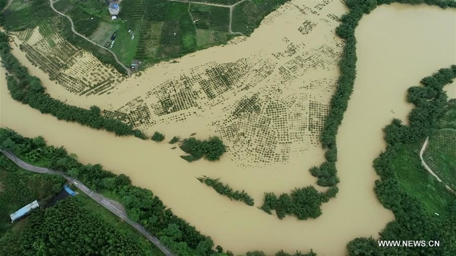 Aerial photo taken on July 9, 2019 shows the flooded areas in Dajiang Town, Rong'an County, south China's Guangxi Zhuang Autonomous Region.