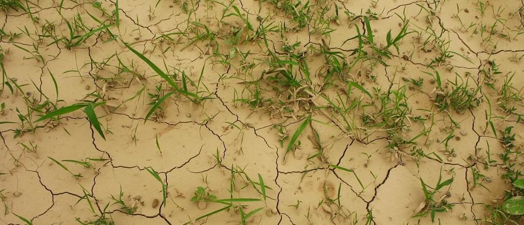 dry earth