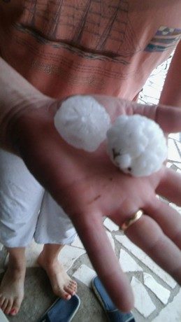 Click to enlarge hail