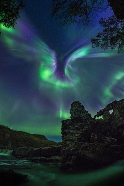 Click to enlarge Aurora