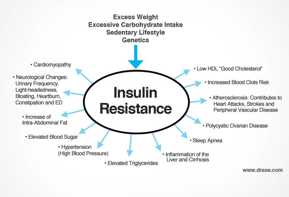 It’s the Insulin Resistance, Stupid: Part 1 – Health & Wellness