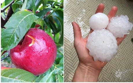 Click to enlarge Left, hailstones in Bellaria Bellaria - Igea Marina