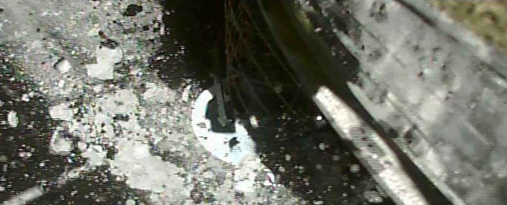 asteroid picture