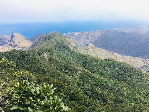 canary island countryside