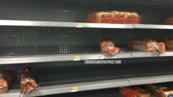 empty shelves