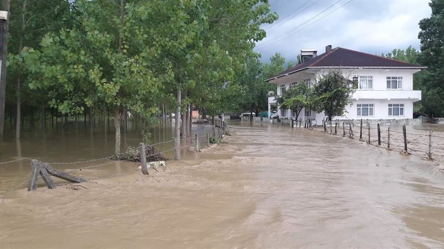 Click to enlarge flood