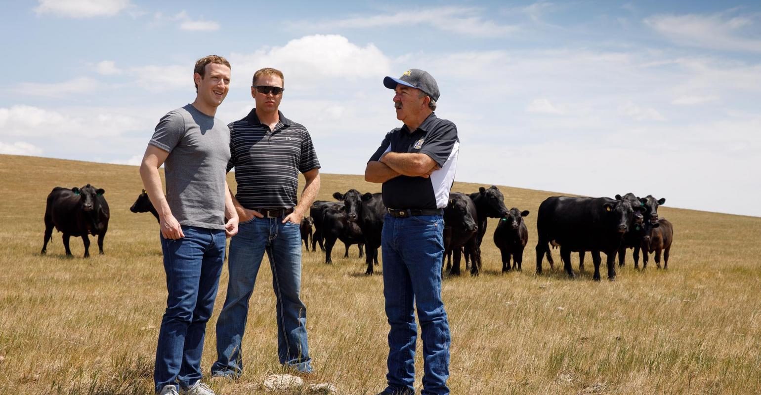 Click to enlarge Mark Zuckerberg