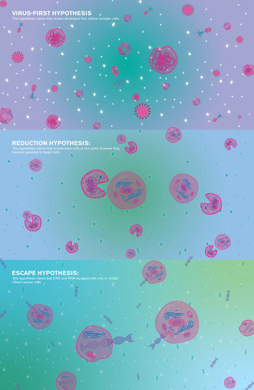 Click to enlarge Viruses