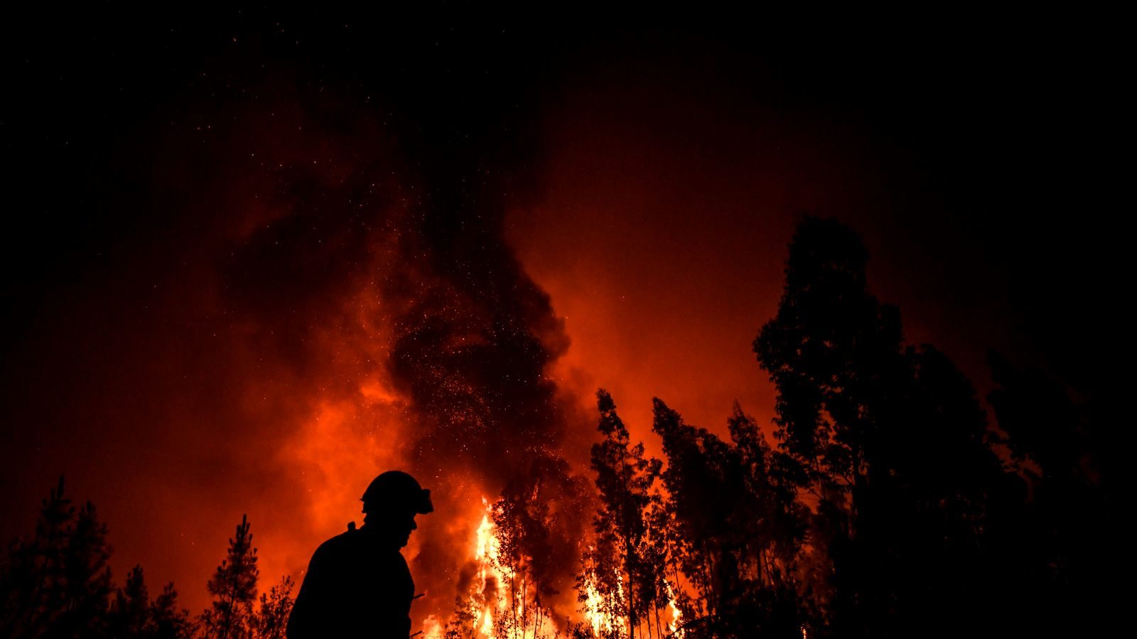 Click to enlarge Nine injured as 1,000 firefighters battle wildfires in Portugal