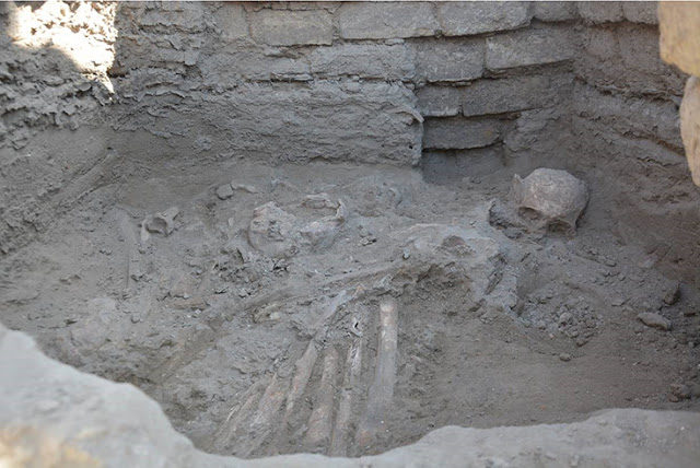 Click to enlarge Ancient Skeleton