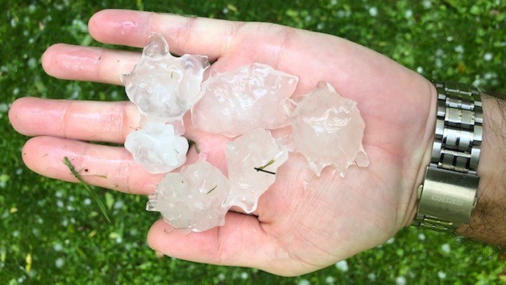 hail zuid-holland