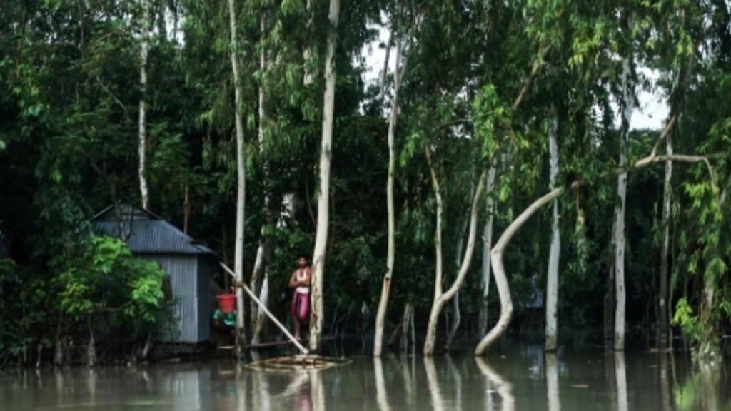 Bangladesh's Flood Forecasting and