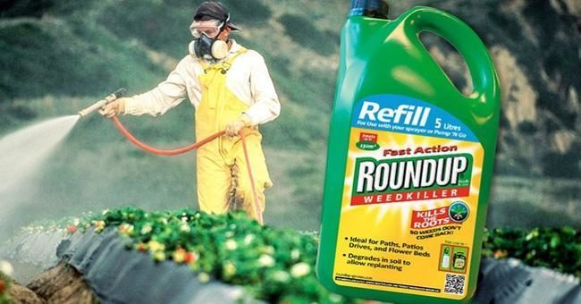 Roundup cancer