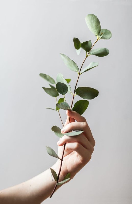 botanicals