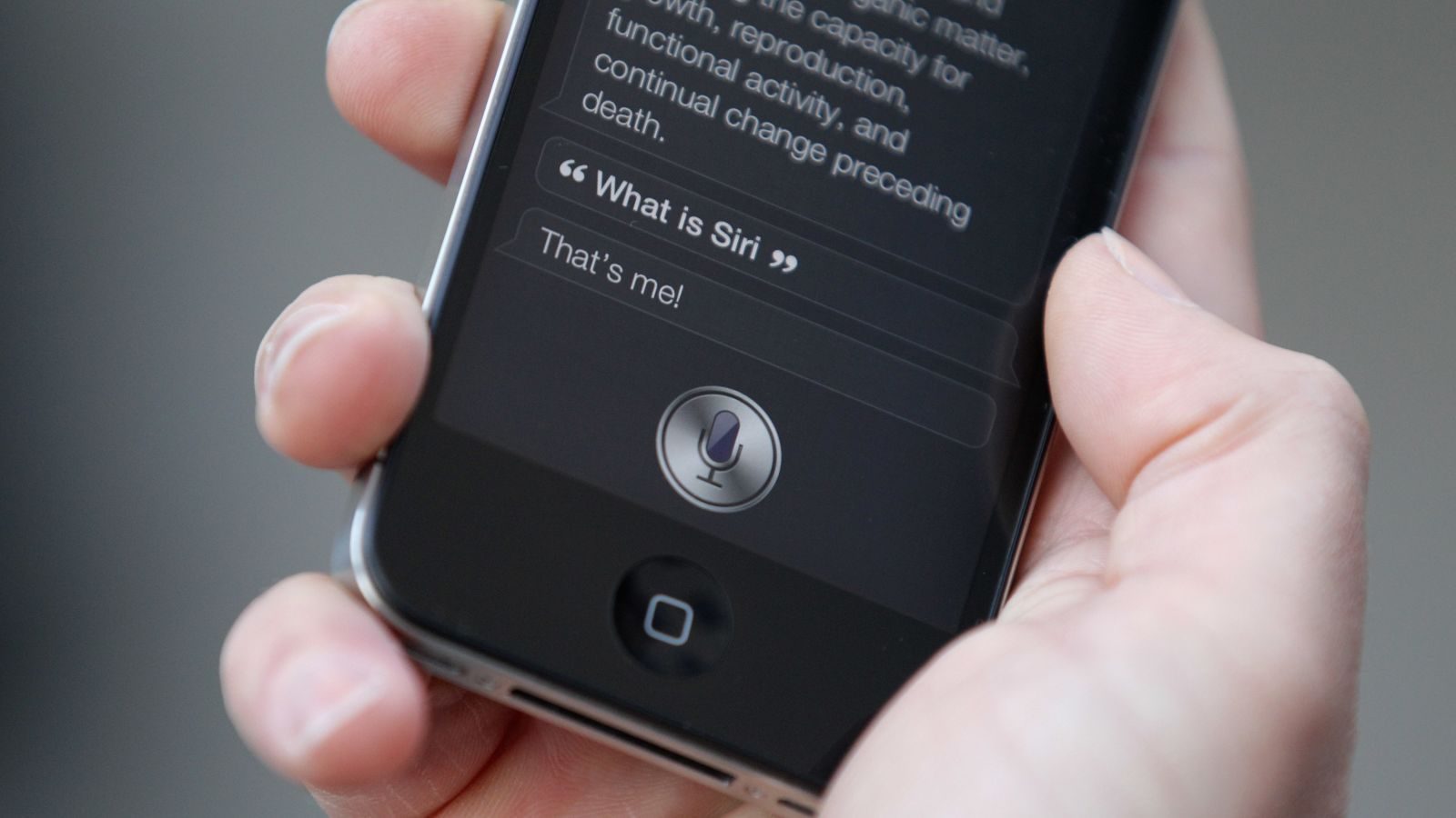 Click to enlarge siri