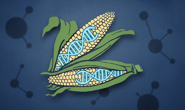 Click to enlarge CRISPR