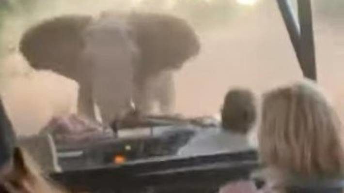 The giant elephant in Kruger National Park, South Africa, decided to charge and ram a car full of terrified tourists, knocking their car about.