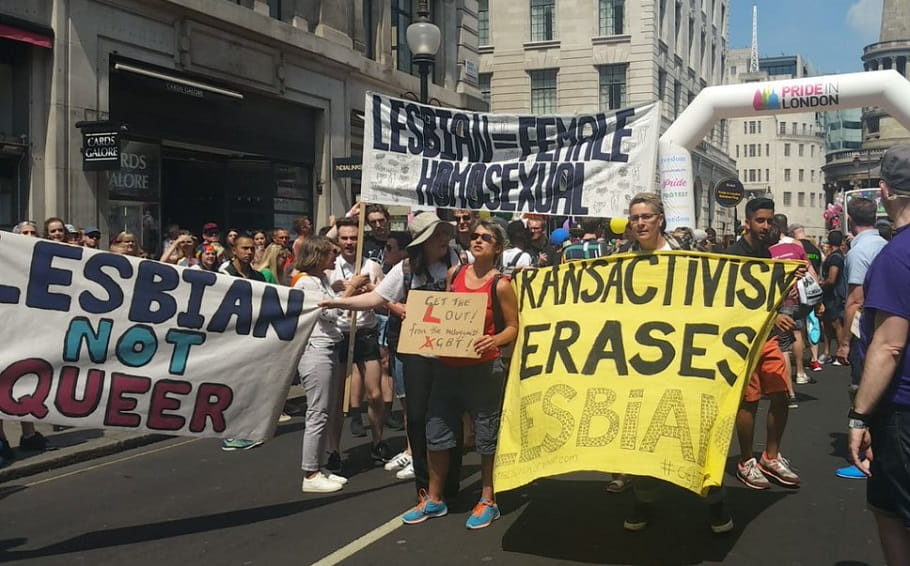 Click to enlarge trans activists lesbians