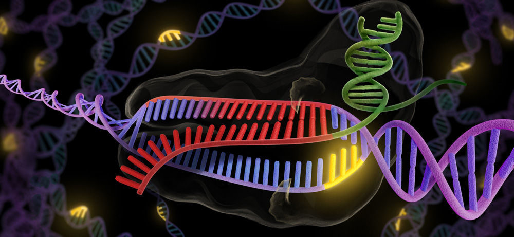 Click to enlarge CRISPR - revolutionary new tool to cut and splice DNA