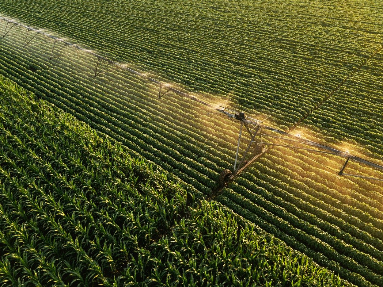crop spraying monocrop