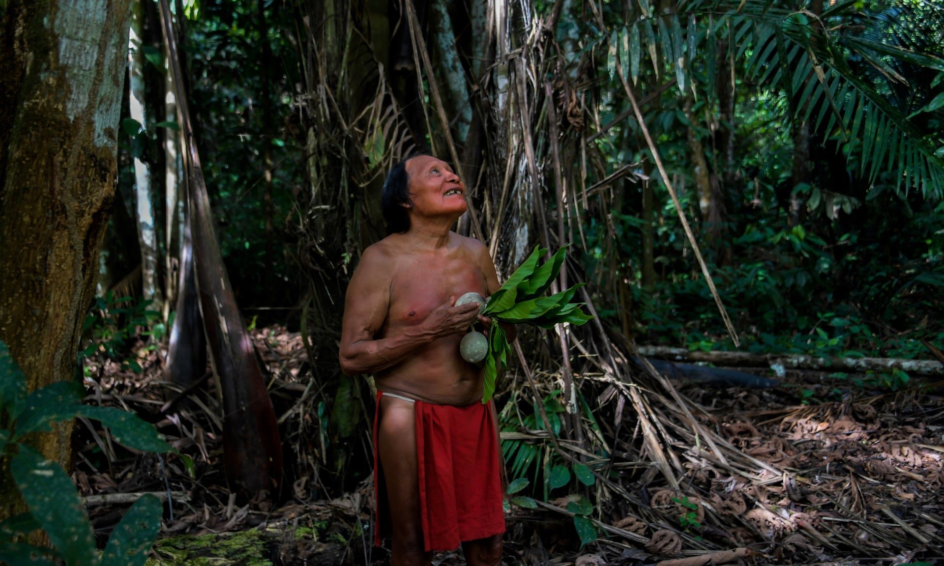Click to enlarge Waiãpi