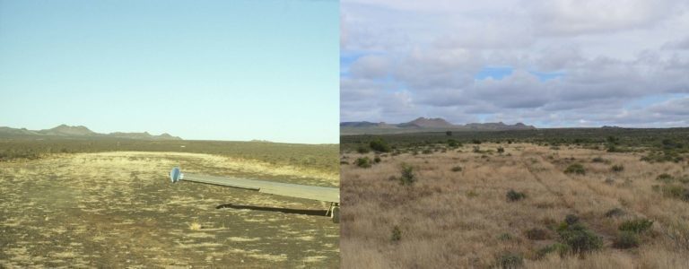 desert to grassland
