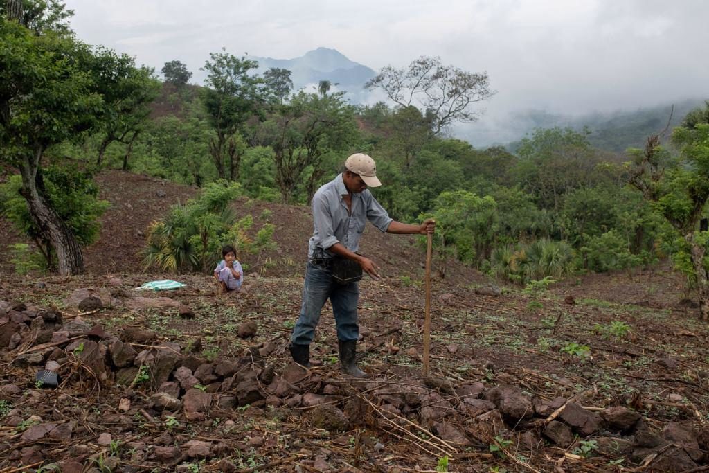 Click to enlarge farmer central america