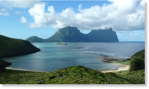 Lord Howe Island is an important breeding