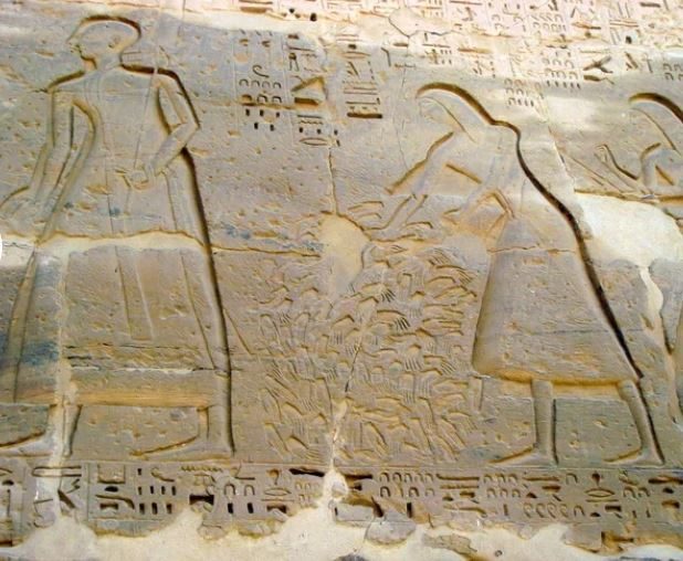 Click to enlarge chopped off hands enemy soldiers Egypt