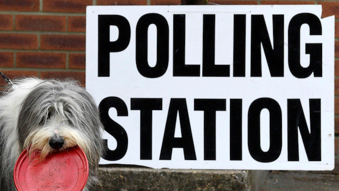 Click to enlarge DogFrisbeePollingstation