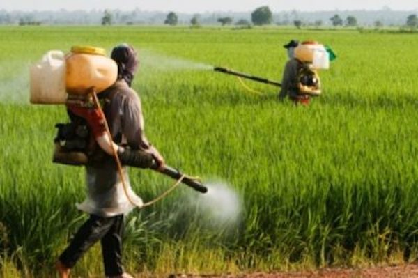 poisoned for profits