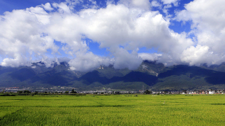 Click to enlarge farmland