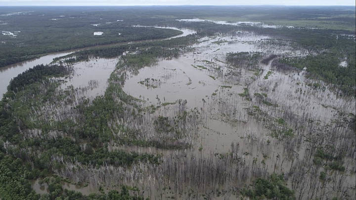 Click to enlarge flood