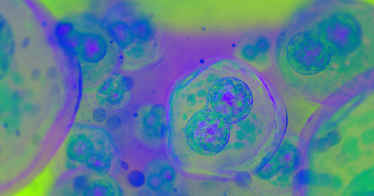 cell dividing