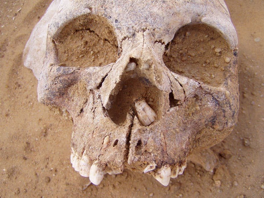 Neolithic skull