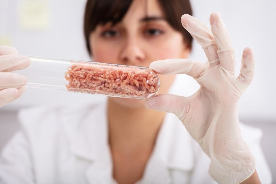 cultured meat