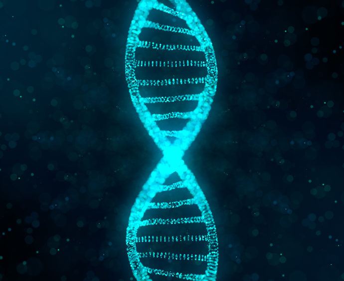 Gene