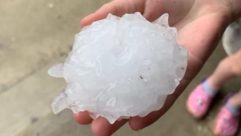 A picture of a large hailstone that dropped in northwest Edmonton during Friday night's powerful storm.