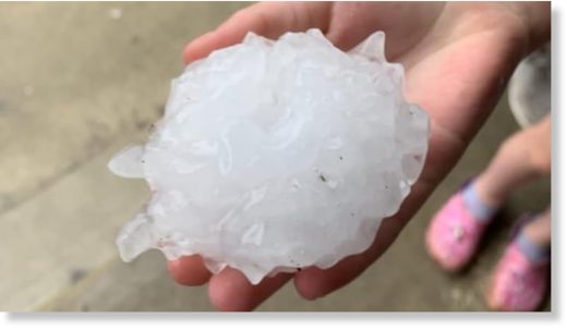 A picture of a large hailstone that dropped in northwest Edmonton during Friday night's powerful storm.