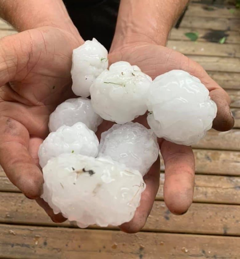 Spruce Grove was one of the area's hit hardest by Friday's hailstorm. Alberta has already seen nearly double the hailstorms in 2019 than the province gets in a typical year