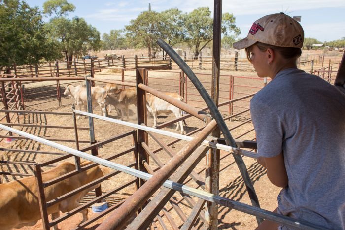 Drought-stricken Hughenden could witness an economic revitalisation after years of job losses and a declining population.