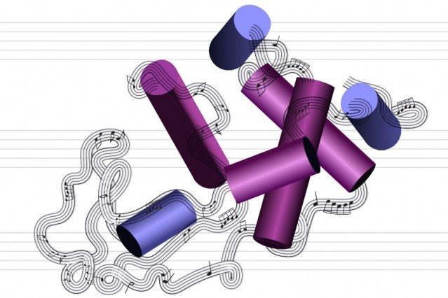 translating proteins and music