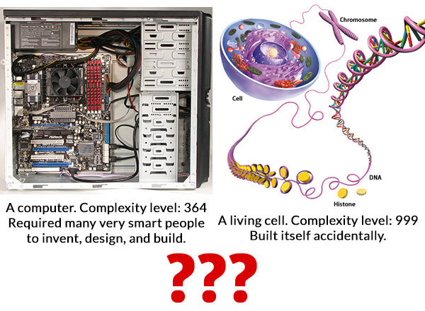 Computer Vs living cell