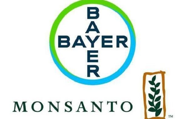 bayer monsanto