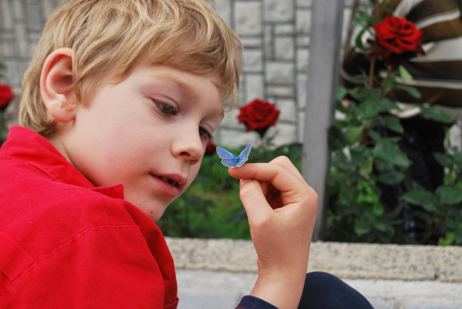 Click to enlarge Young Child